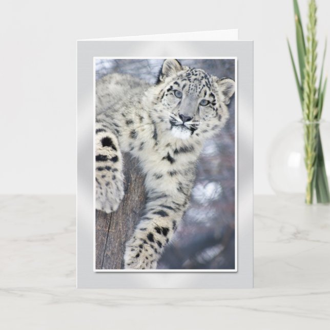 Hangin runt om….,(w/border) kort (Framsida)