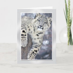 Hangin runt om….,(w/border) kort