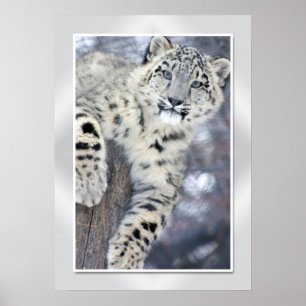 Hangin runt...(w/gräns) poster