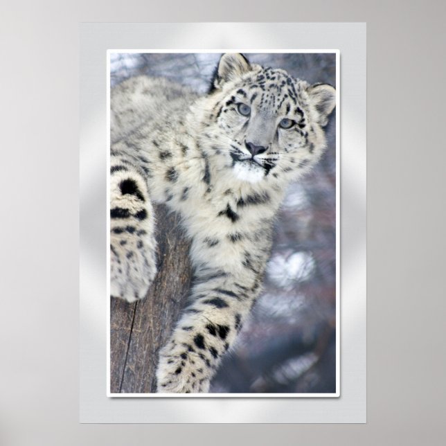 Hangin runt...(w/gräns) poster (Framsidan)