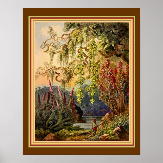 "Hanging Bamboo of Sri Lanka" av Haeckel ca 1882 Poster (Framsidan)