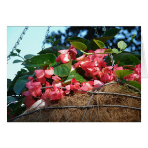 Hanging Basket Flowers Hälsningskort