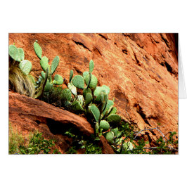 Hanging Cactus Garden Zion National Park UT Blank Hälsningskort