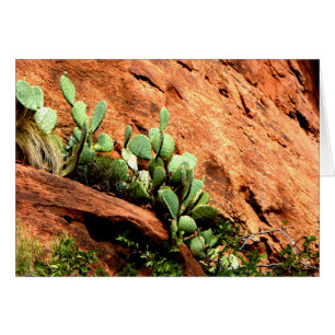 Hanging Cactus Garden Zion National Park UT Blank Hälsningskort
