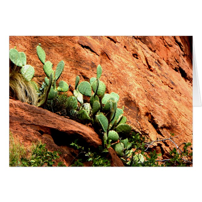 Hanging Cactus Garden Zion National Park UT Blank Hälsningskort (Framsidan Horizontal)