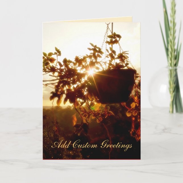 Hanging Garden Sol Twinkle Greeting Card Kort (Framsida)