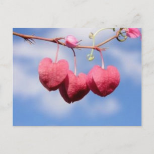 Hanging_hearts - vykort för blommor