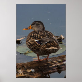 Hanging Out Poster