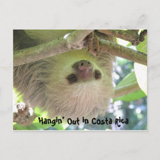 Hanging Sloth i Costa Rica Postcards Vykort