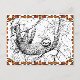 HANGING SLOTH   Paintable Postcards Vykort