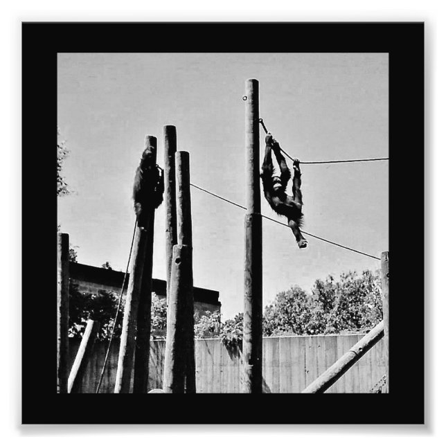 Hangin'Loose Fototryck (Framsidan)