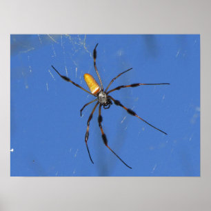Hangin'ut Poster