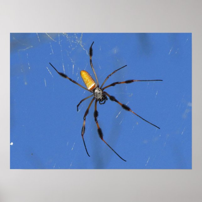 Hangin'ut Poster (Framsidan)