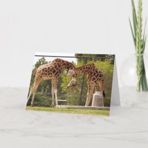hångla giraffkortet kort