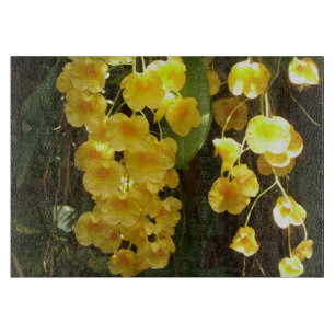 Hängning av Gult Orchids Tropical Flowers