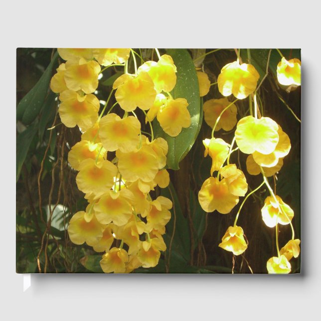 Hängning av Gult Orchids Tropical Flowers Gästböcker (Framsida)