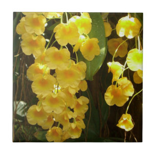 Hängning av Gult Orchids Tropical Flowers Kakelplatta