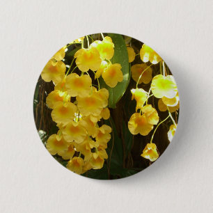 Hängning av Gult Orchids Tropical Flowers Knapp