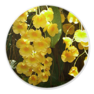 Hängning av Gult Orchids Tropical Flowers Knopp