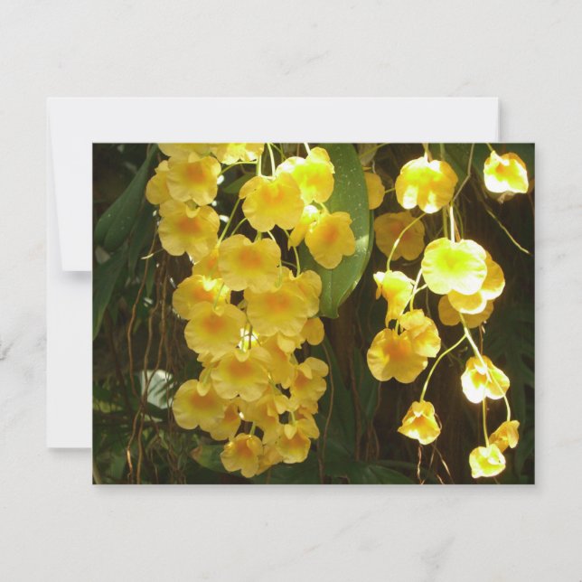 Hängning av Gult Orchids Tropical Flowers Kort (Framsida)