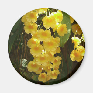 Hängning av Gult Orchids Tropical Flowers Magnet