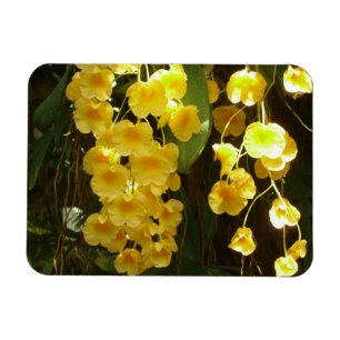 Hängning av Gult Orchids Tropical Flowers Magnet