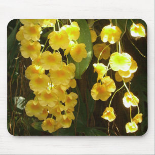 Hängning av Gult Orchids Tropical Flowers Musmatta