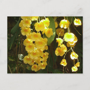 Hängning av Gult Orchids Tropical Flowers Vykort