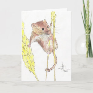 Hängning in där, Dormouse! Kort