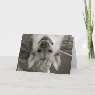 Hängning in där kort