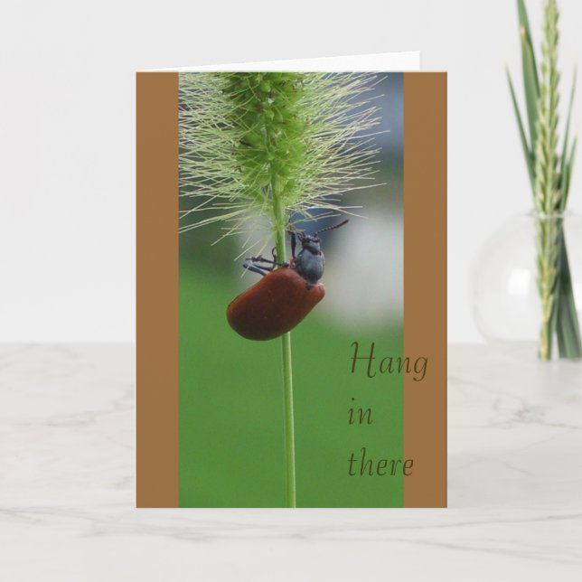 Hängning in där kort (Framsida)