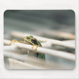 Hängning in där! musmatta