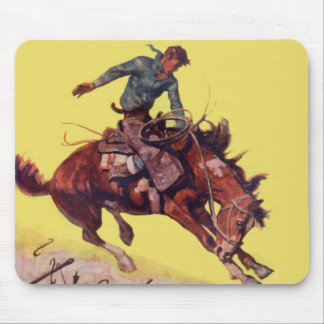 Hängning på Cowboy Musmatta