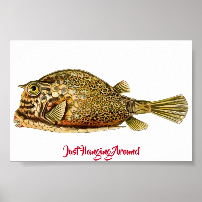 Hängning runt Poster (Framsidan)