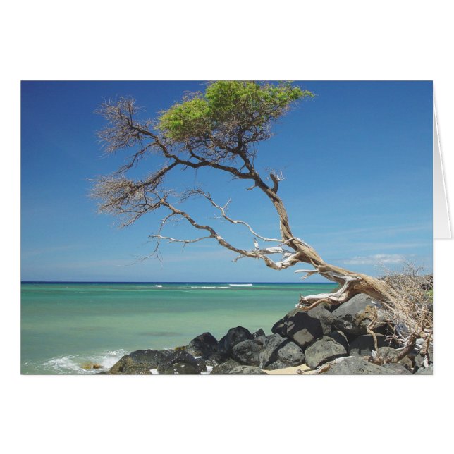 Hängning vid hälsningskort (Framsidan Horizontal)