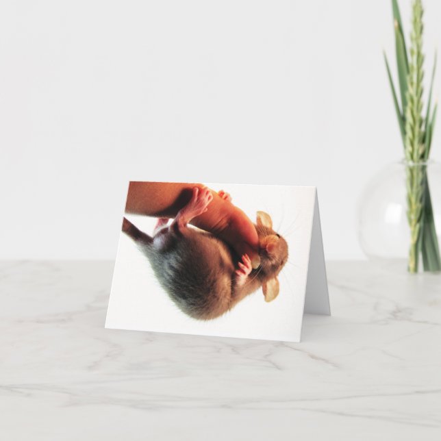 Hängningen i där tjaller kort (Framsida)