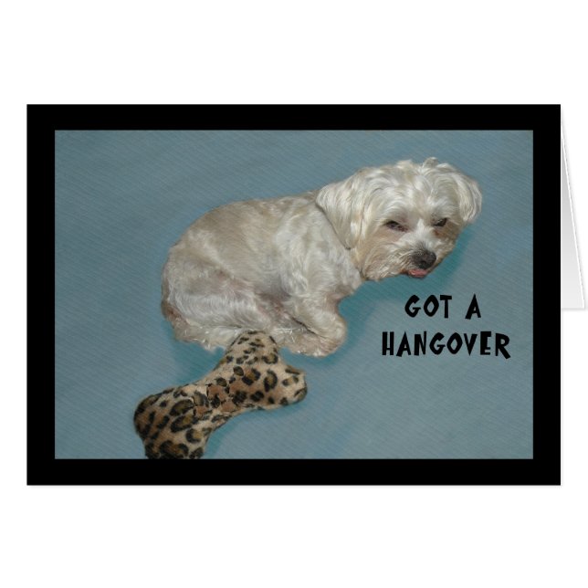 Hangoverkort med vit Lhasa-Hund Hälsningskort (Framsidan Horizontal)
