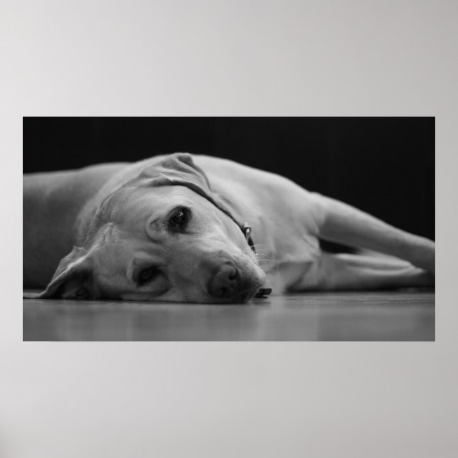 Hank 'ONE' Canvas Poster (Framsidan)