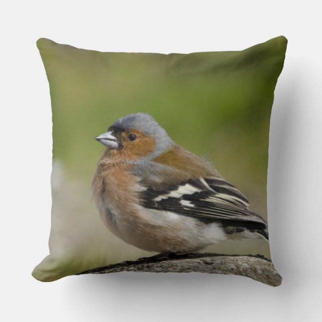 Hanne Böksparv (WILD: Fringilla coelebs) Kudde (Framsida)