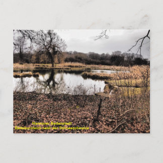 Hannover - Badenstedt Vykort