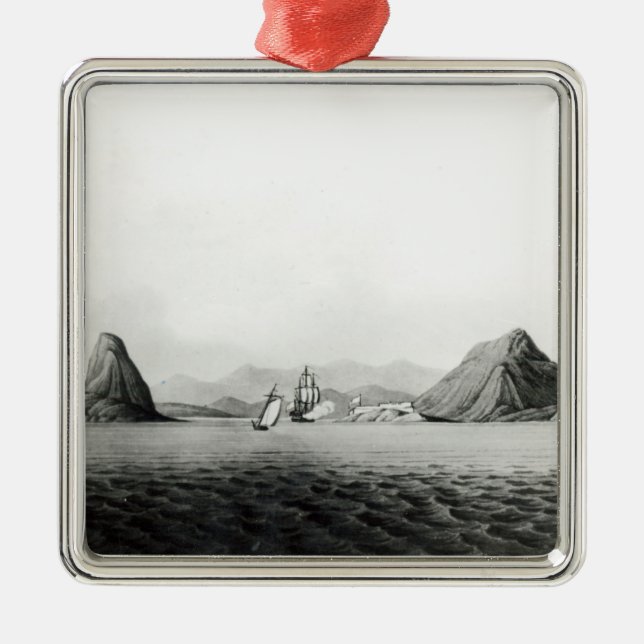 Hänrycka av hamnen av Rio de Janeiro Julgransprydnad Metall (Framsidan)