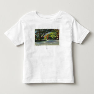 Hänrycka beskådar till FDRS hus T-shirt
