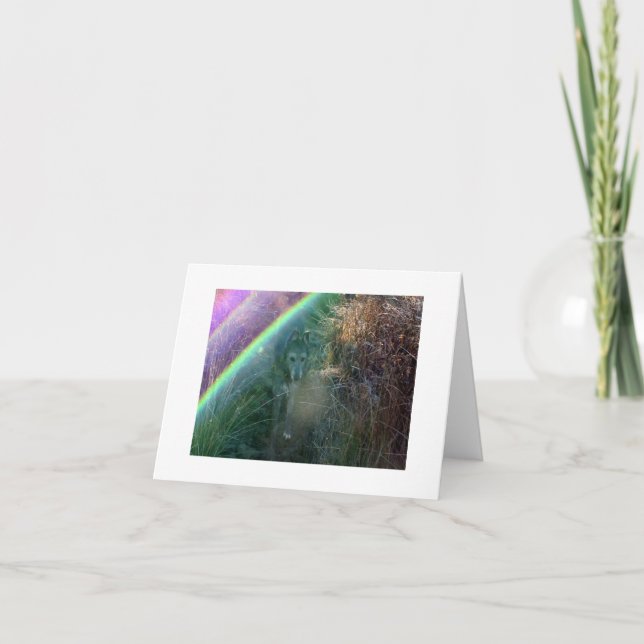 Hänrycka till regnbågen överbryggar kort (Framsida)