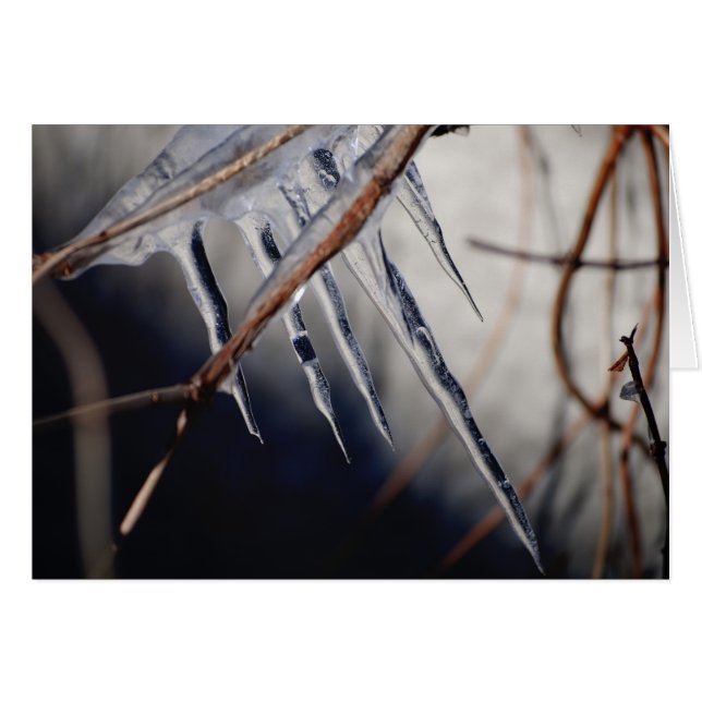 hans bitande hand hälsningskort (Framsidan Horizontal)