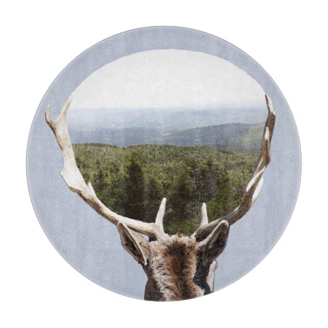 Hans domän (Framsidan)