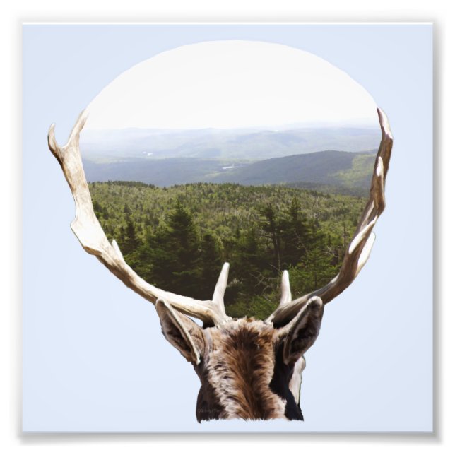 Hans domän fototryck (Framsidan)