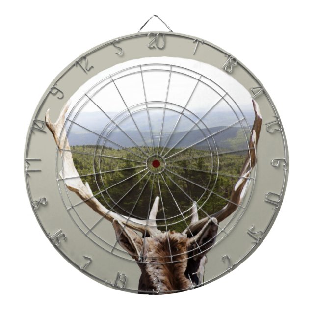 Hans domän piltavla (Framsidan)