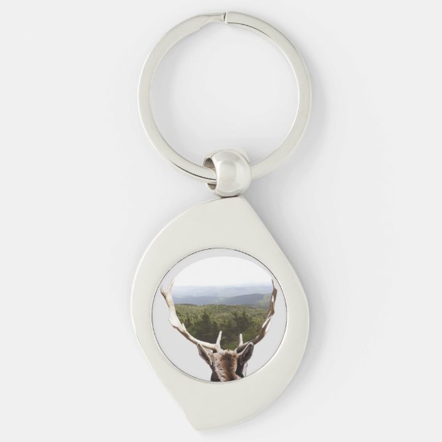 Hans domän swirl silverfärgad nyckelring (Framsidan)