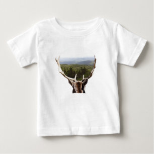 Hans domän tee