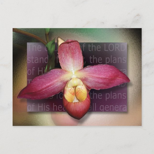 Hans hjärtan vykort (Framsida)